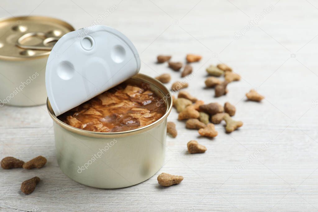 Wet and dry pet food on white wooden table. Space for text