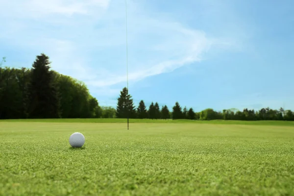 Golfball Auf Grünem Platz Platz Für Text — Stockfoto