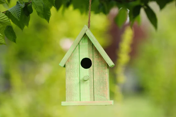 Zielony Ptak Dom Wiszący Drzewie Zewnątrz — Zdjęcie stockowe