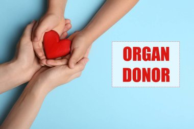 Organ bağışçısı. Kalbi açık mavi arka planda tutan kadın ve çocuk, üst manzara