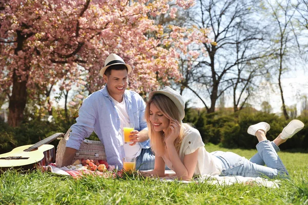 阳光灿烂的日子 一对快乐的夫妇在公园野餐 — 图库照片