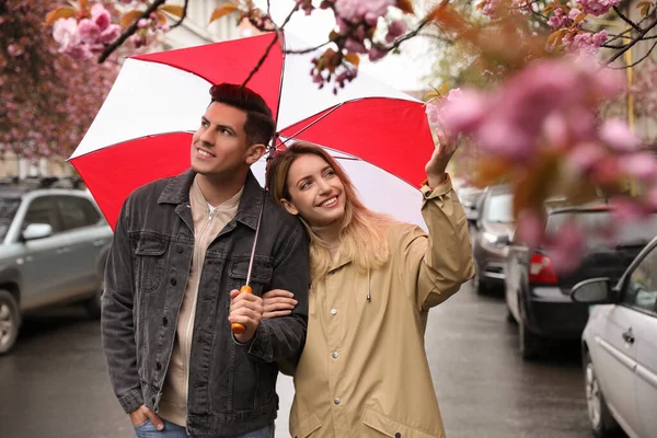 Schönes Paar Mit Regenschirm Spazieren Frühlingstag — Stockfoto