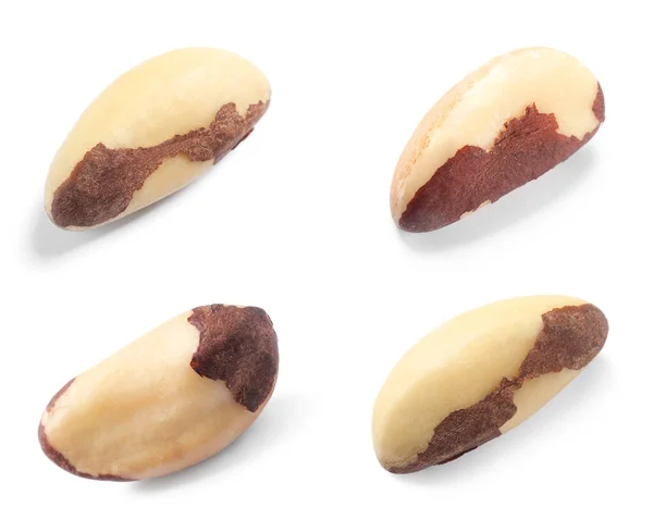 Set Tasty Brazil Nuts White Background — Stock Photo, Image