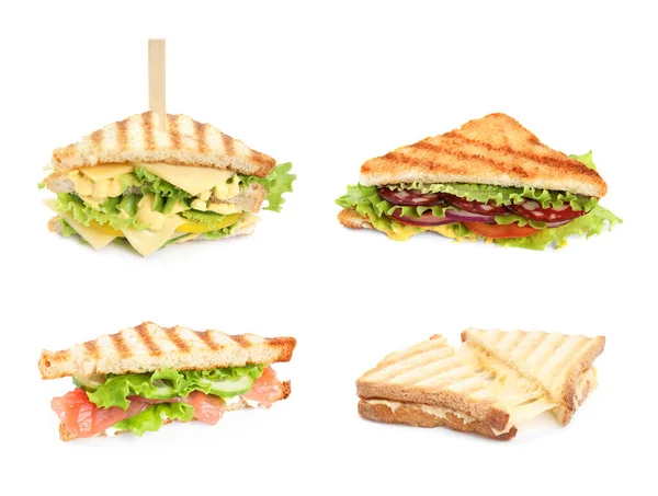 Набір Різними Смачними Бутербродами Білому Тлі — стокове фото