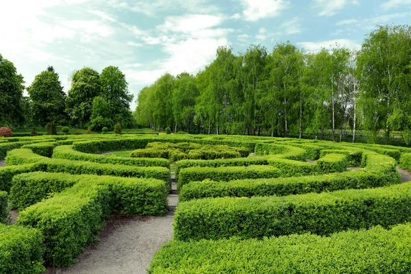 Schöne Aussicht Auf Das Grüne Heckenlabyrinth Sonnigen Tagen — Stockfoto