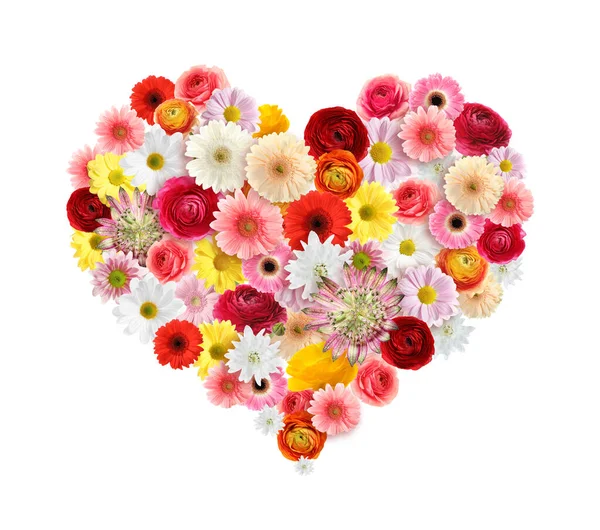 Schöne Herzförmige Komposition Mit Zarten Blumen Auf Weißem Hintergrund — Stockfoto