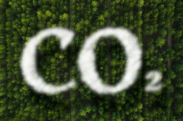 空气清澈的概念 Co2题词和美丽的绿色森林 顶视图 — 图库照片