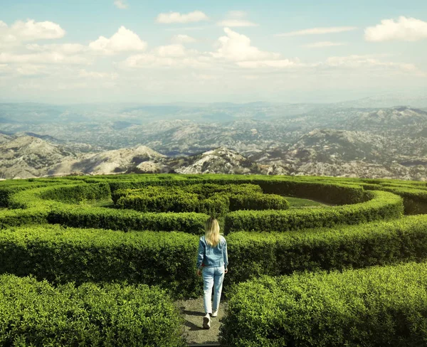 Young woman in hedge maze on sunny day, back view