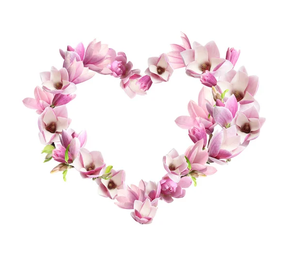 Schöne Herzförmige Komposition Mit Zarten Magnolienblüten Auf Weißem Hintergrund — Stockfoto