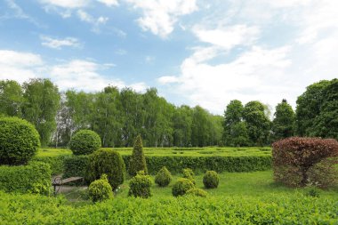 Ağaçları, çalıları ve yeşil otları olan güzel bir park manzarası.