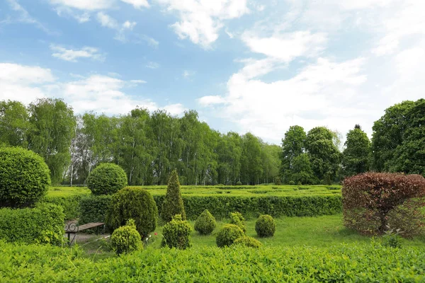 Belle Vue Sur Parc Avec Arbres Buissons Herbe Verte — Photo