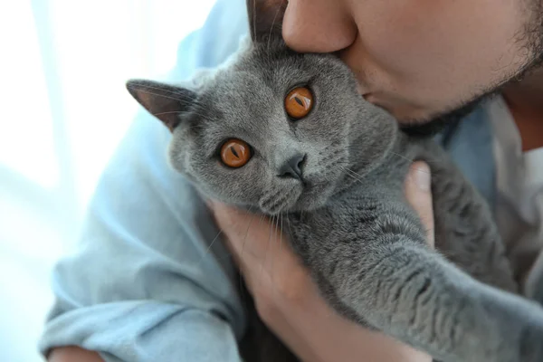 Man Cute Cat Blurred Background Closeup — Stock Photo, Image