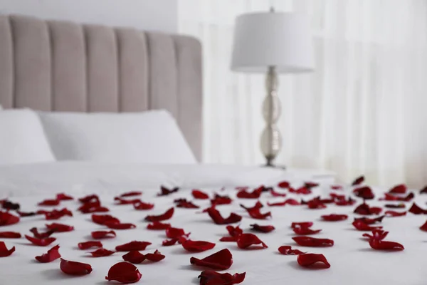 Gyönyörű Vörös Rózsaszirmok Ágyon Szobában — Stock Fotó