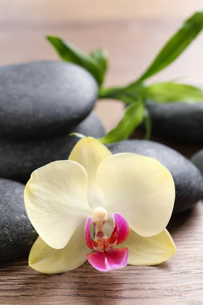 Wellness Steine Schöne Orchideenblume Und Bambuskeime Auf Holztisch Nahaufnahme — Stockfoto