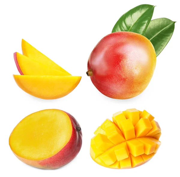 Set Mit Köstlichen Reifen Mangos Auf Weißem Hintergrund — Stockfoto