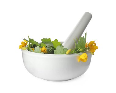 Beyaz üzerine izole edilmiş havan topuzlu Celandine.
