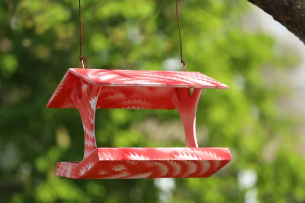 Color Alimentador Aves Hecho Mano Colgando Aire Libre Día Soleado — Foto de Stock