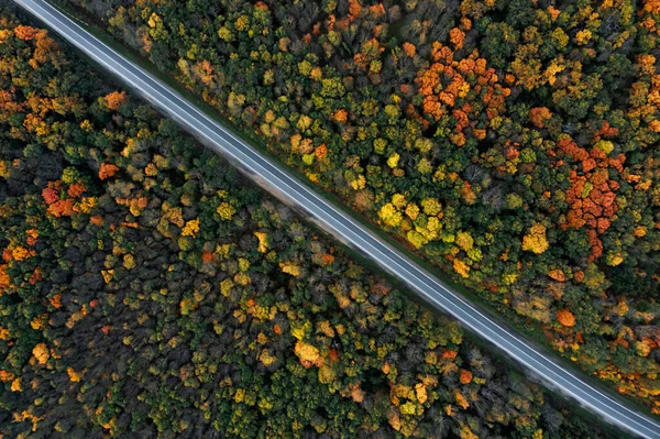 Aerial View Road Going Beautiful Autumn Forest — Stock Photo, Image