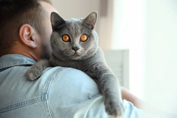 Man Cute Cat Blurred Background Closeup — Stock Photo, Image