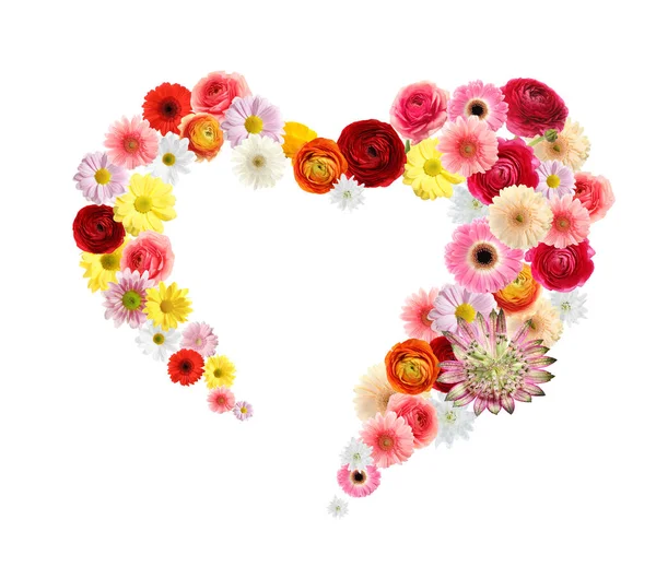 Schöne Herzförmige Komposition Mit Zarten Blumen Auf Weißem Hintergrund — Stockfoto