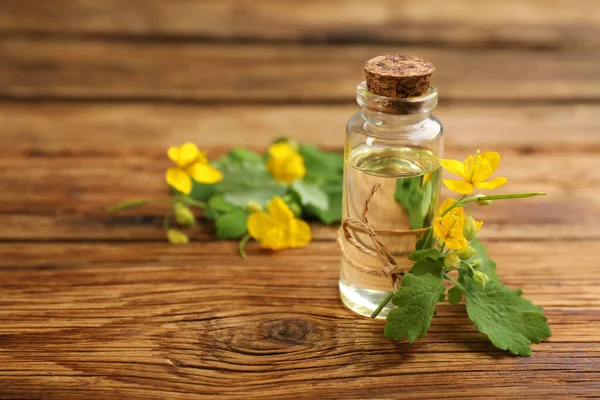 木製のテーブルの上の花の近くに天然セランディン油のボトル クローズアップ テキストのスペース — ストック写真
