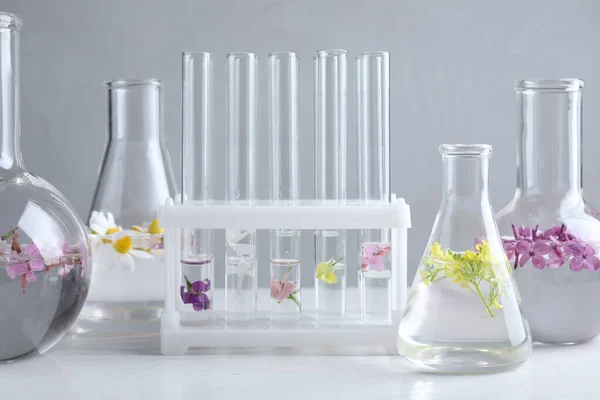 Vidrio Laboratorio Con Flores Sobre Mesa Madera Blanca Extracción Aceite — Foto de Stock