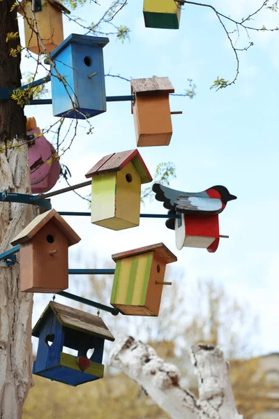 Montones Coloridas Casas Pájaros Madera Árbol Aire Libre —  Fotos de Stock