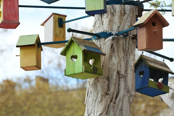 Wiele Kolorowych Drewnianych Domków Dla Ptaków Drzewie Świeżym Powietrzu — Zdjęcie stockowe
