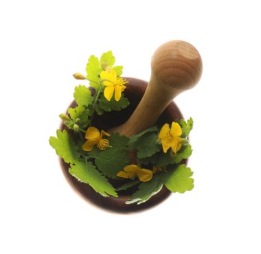 Ahşap havan topuzlu Celandine beyaz üzerine izole, üst manzara