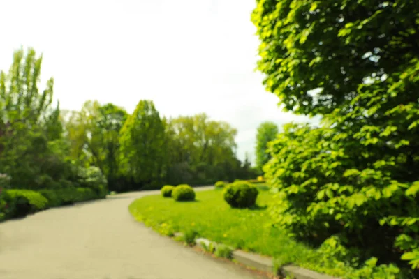 Vue Floue Beau Parc Par Une Journée Ensoleillée — Photo