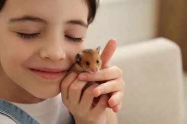 Küçük kız evde sevimli hamster 'a sarılıyor, yakından.