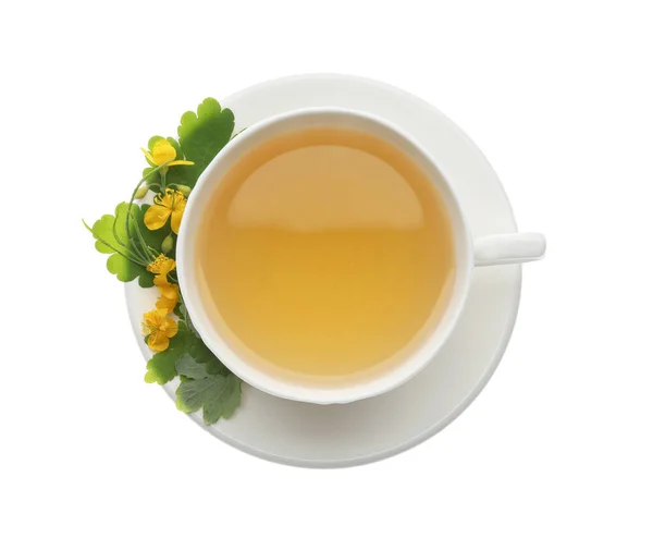 Tasse Aromatischer Schöllkraut Tee Und Blumen Auf Weißem Hintergrund Ansicht — Stockfoto