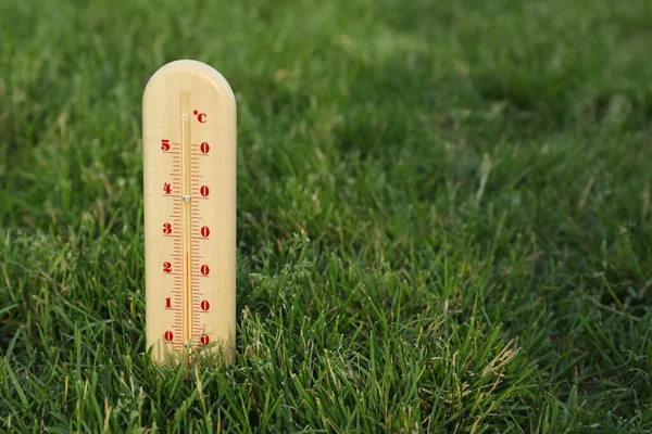 Thermometer Sticking Out Green Grass Outdoors Space Text — Stock Photo, Image