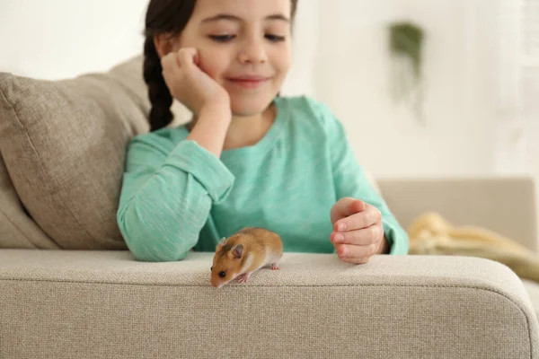 Kleines Mädchen Mit Süßem Hamster Auf Sofa Hause — Stockfoto