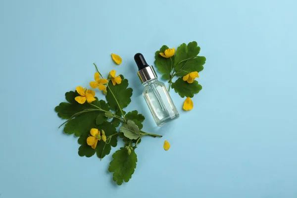 浅蓝色背景的天然芹菜油和花卉瓶 — 图库照片