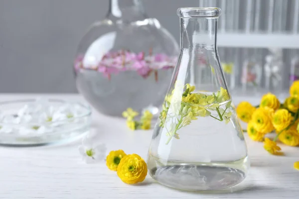 Cristalería Laboratorio Con Flores Centran Frasco Extracción Aceite Esencial Para — Foto de Stock
