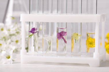 Beyaz ahşap masada farklı çiçeklerle test tüpleri. Gerekli yağ çıkarma