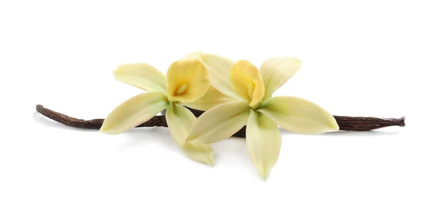 Αρωματικά Ξυλάκια Βανίλιας Και Όμορφα Λουλούδια Λευκό Φόντο — Φωτογραφία Αρχείου