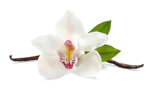 Aromatyczne Kije Waniliowe Piękny Kwiat Storczyka Zielone Liście Białym Tle — Zdjęcie stockowe
