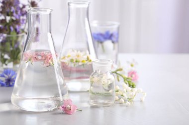 Işık masasında farklı çiçekler olan laboratuvar camları, yazı için yer. Gerekli yağ çıkarma
