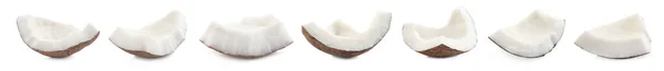 白い背景に熟したココナッツの破片で設定します バナーデザイン — ストック写真