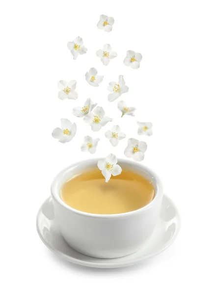 美しいジャスミンの花が白を背景に熱い淹れたてのお茶のカップに落ちる — ストック写真