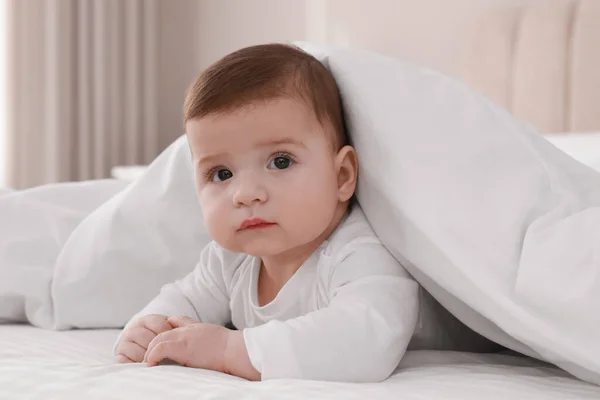 Lindo Bebé Cama Bajo Una Manta Suave Interior — Foto de Stock
