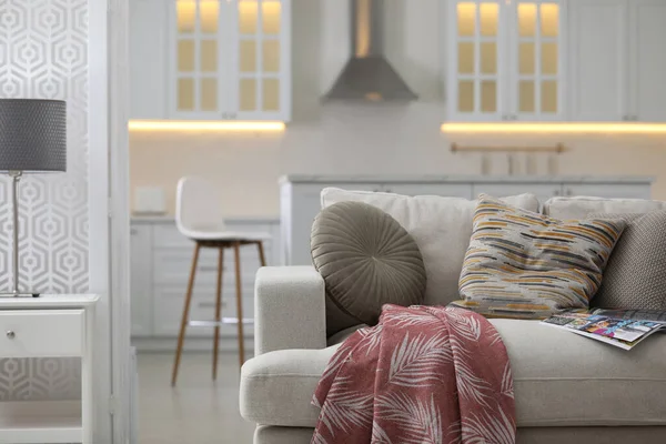 快適なソファ付きのモダンなアパートメント インテリアデザイン — ストック写真