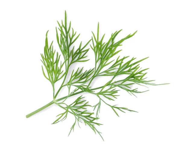 Sprig Fresh Dill Isolated White Top View — Stock Photo, Image