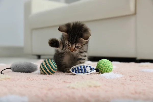 Liten Kattunge Leker Med Leksaker Hemma — Stockfoto