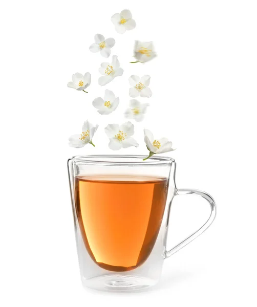 Schöne Jasminblüten Fallen Tasse Heißen Frisch Gebrühten Tee Auf Weißem — Stockfoto