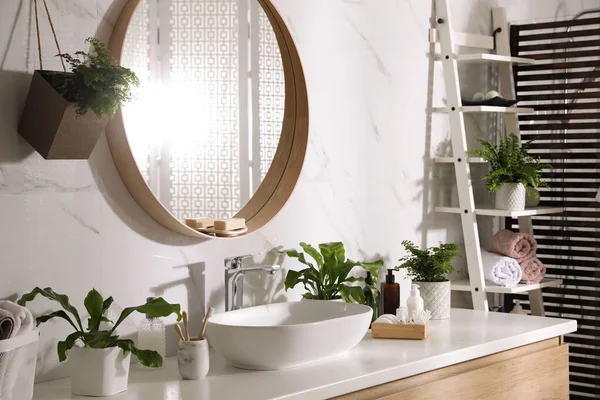 아름다운 양치식물 화장실 — 스톡 사진