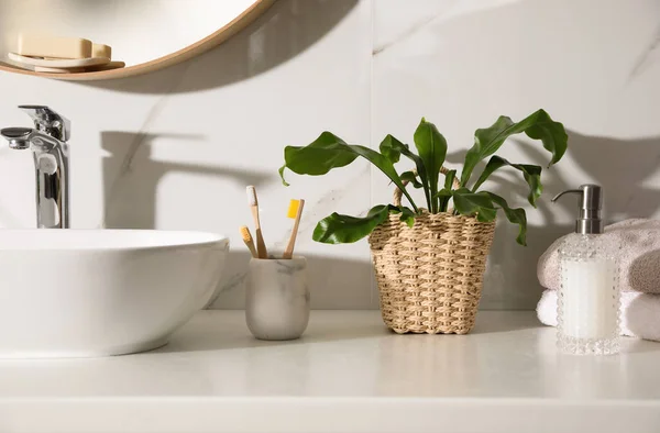 Mooie Groene Varen Handdoeken Toiletartikelen Aanrecht Badkamer — Stockfoto