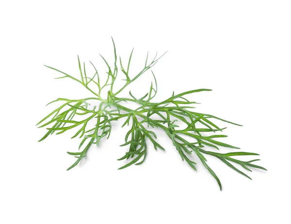 Sprig Fresh Dill Isolated White — Stock Photo, Image